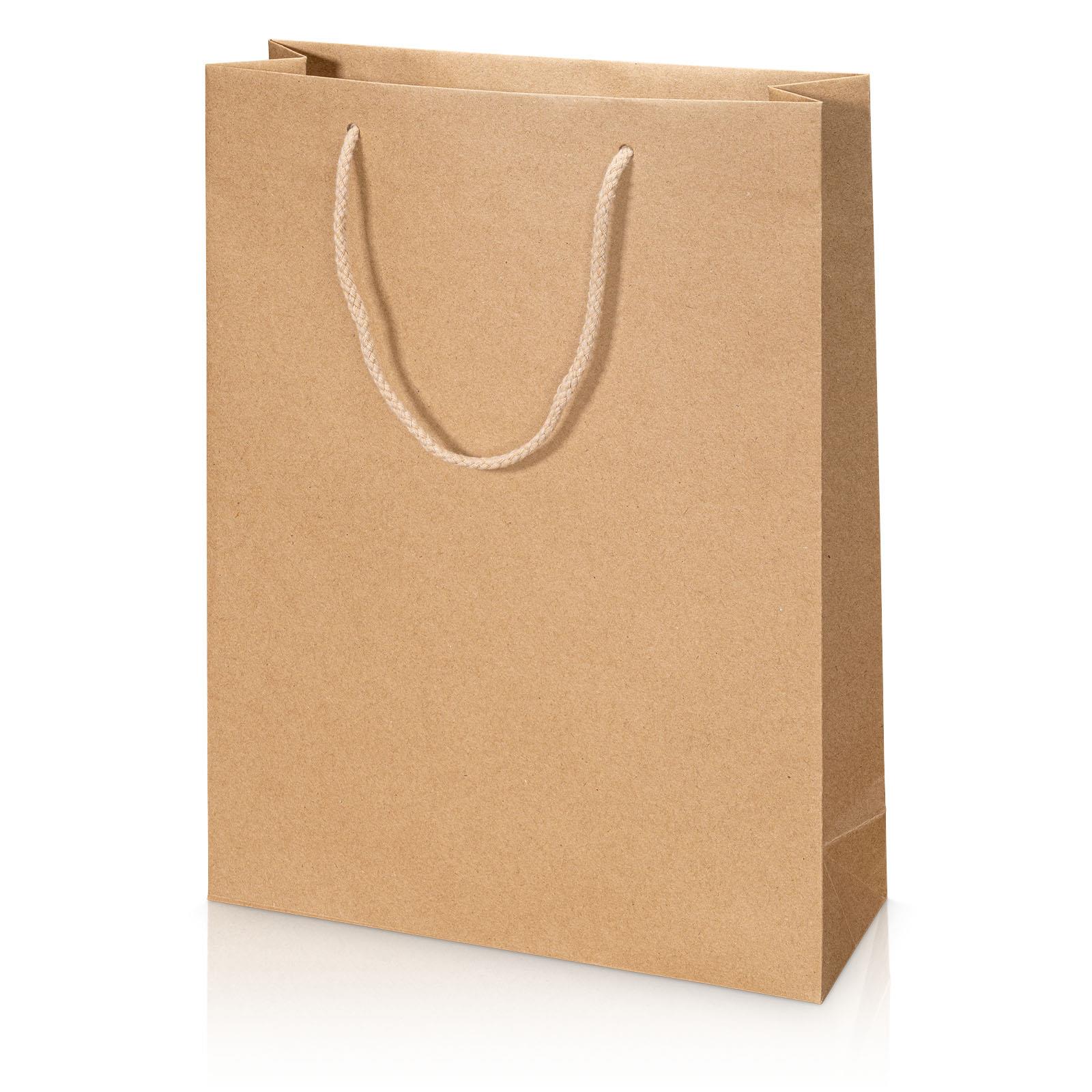 Tüte Kraftpapier Natur 3 Fl.
