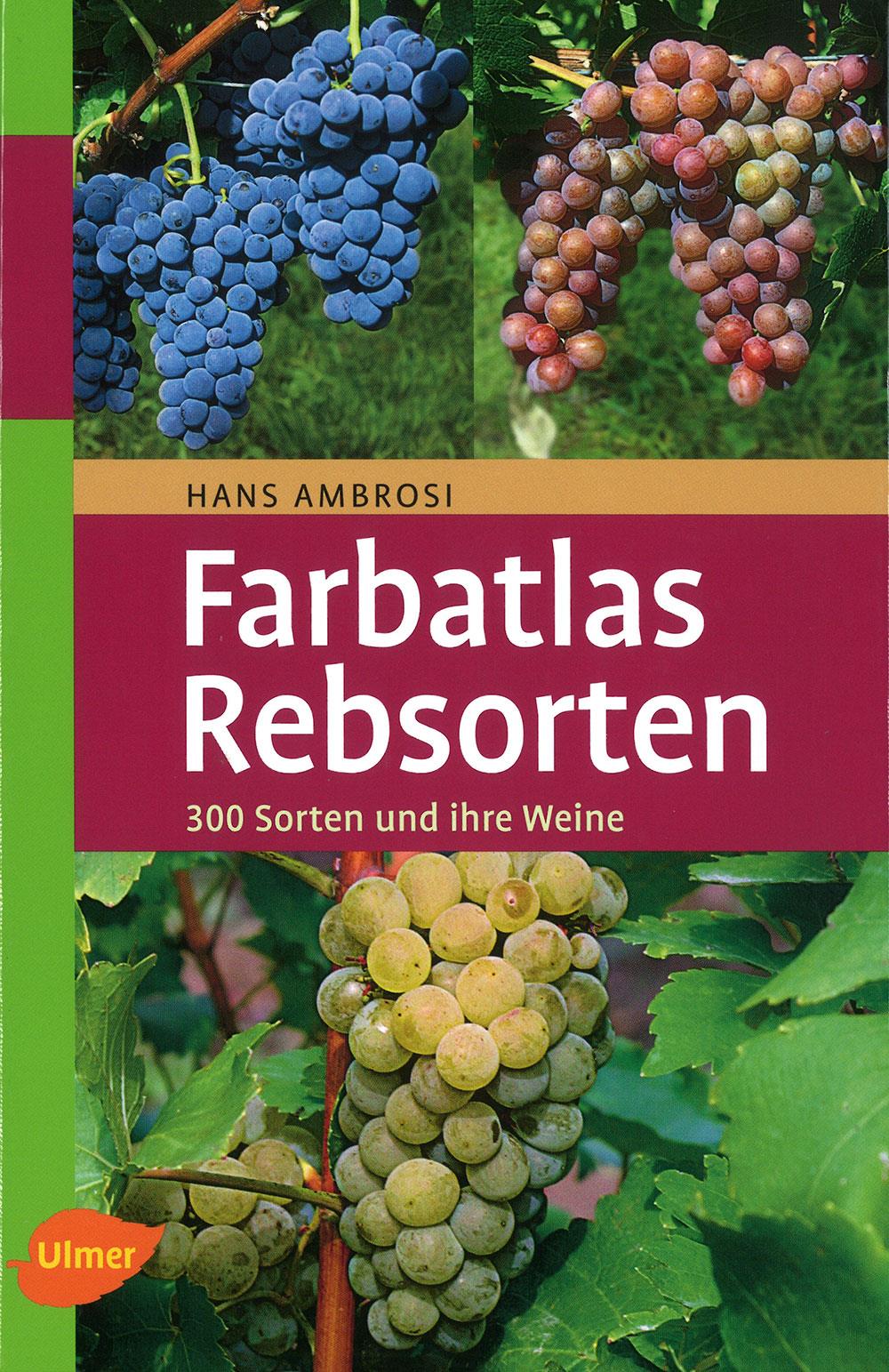 Farbatlas Rebsorten